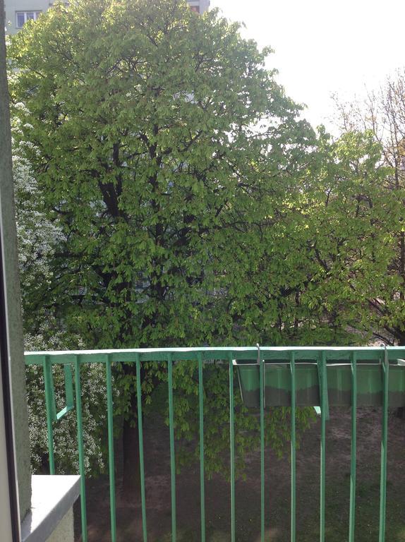 Kazimir Apartament Lodz Екстериор снимка